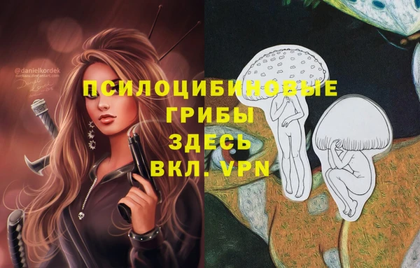 кристаллы Алзамай