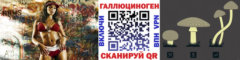 Псилоцибиновые грибы GOLDEN TEACHER  Петров Вал 